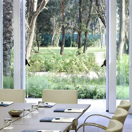 Szálloda Versilia Lido | Esperienze